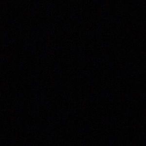 Meet your Posher, Trisha